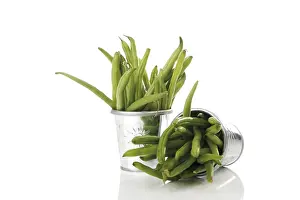 Vitamin Rich Legumes Drucke: Green beans in pots