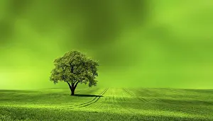 Agricultural Ecology Drucke: Green earth