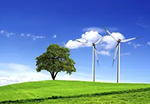 Deciduous Tree Image Drucke: Green ecology