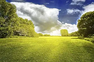 Farmland Scenery Drucke: Green field and clouds