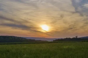Evening Atmosphere Bavaria Drucke: Green field with trees in the background under a dramatically illuminated sunset