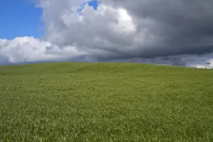 European Countryside Photography Drucke: Green fields under dark clouds Scotland