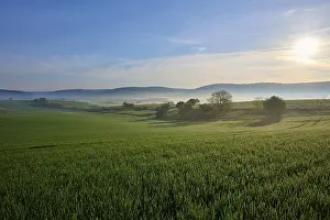 Cloudy Blue Sky Photo Drucke: Green fields and meadows under a blue sky with few clouds