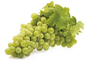 Studio Shot Of Grapes Drucke: Green grapes