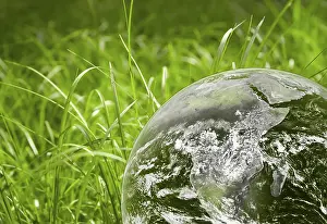 Plain White Background Image Drucke: Green grass and earth image