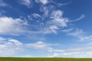 Cloudy Atmosphere Drucke: Green grass and sky with clouds