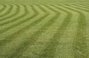 Garden Landscape Photography Drucke: Green grass with a stripped pattern cut