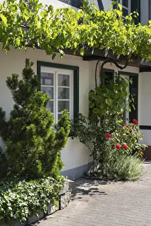 Gerahmter Druck : Gerahmter Druck :