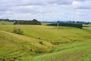 Otago Region Scenery Drucke: Green hills and fields under a cloudy sky