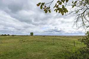 Cloudy Sky Landscape Photography Drucke: Green meadow with trees and clouds in the sky