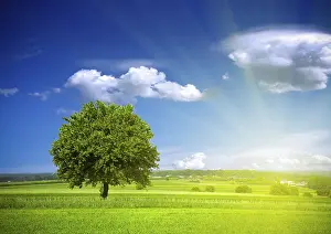 England Countryside Scenery Drucke: Green nature environment