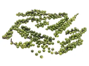 Spicy Food Ingredients Drucke: Green pepper panicles