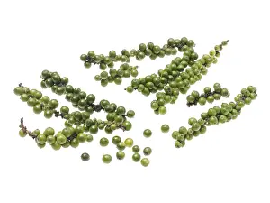 Indoor Leafy Plants Drucke: Green pepper panicles