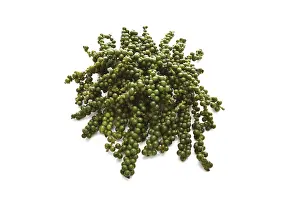 Indoor Leafy Plant Drucke: Green pepper, panicles