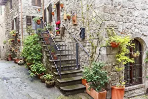 Indoor Ornamental Plants Drucke: Green plants on a staircase on a backyard