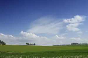 Springtime In Southern Germany Drucke: Green spring landscape with trees clouds