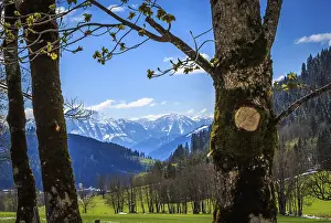 Uninhabited Valley Scenery Drucke: Green valley