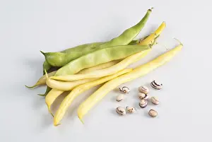 Nutrition Rich Legumes Drucke: Green and yellow string beans over white background
