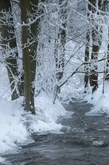 Thuringia Winter Landscape Drucke: Greiz, Thuringia, Triebitzbach