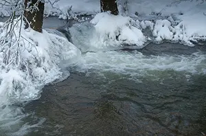 German Winter Scene Drucke: Greiz, Thuringia, Triebitzbach