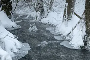 Thuringia Winter Landscape Drucke: Greiz, Thuringia, Triebitzbach