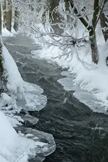 Thuringia Winter Landscape Drucke: Greiz, Thuringia, Triebitzbach