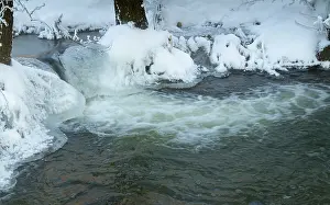 Thuringia Winter Landscape Drucke: Greiz, Thuringia, Triebitzbach