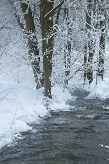 Winter Landscape Germany Drucke: Greiz, Thuringia, Triebitzbach