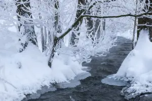 Thuringia Winter Landscape Drucke: Greiz, Thuringia, Triebitzbach