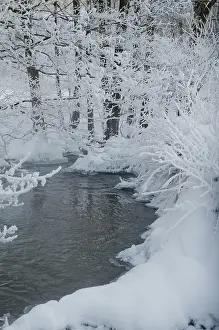 European Winter Landscape Photography Drucke: Greiz, Thuringia, Triebitzbach