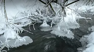 Central Europe Wintry Scenes Drucke: Greiz, Thuringia, Triebitzbach