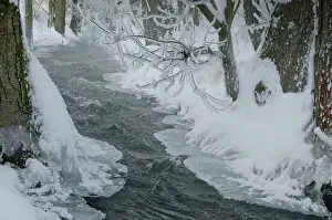 European Wintry Landscape Drucke: Greiz, Thuringia, Triebitzbach