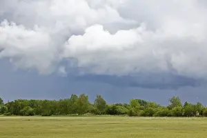 Protected Area In Eastern Germany Drucke: Grey clouds float over a green meadow lined with trees