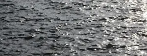 Europe Waterfront Scene Drucke: Grey water surface with small waves