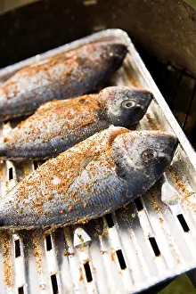 Edible Fish Recipes Drucke: The grilled fish on the camping table