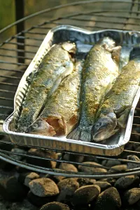 Gourmet Lunch Ideas Drucke: Grilled trouts