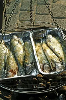 Fish Nutrition Facts Drucke: Grilled trouts