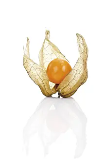 Ground Cherry Nutrition Drucke: Groundcherry, Ground Cherry (Physalis)