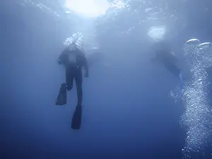 Underwater World Scene Drucke: Group of divers Underwater background
