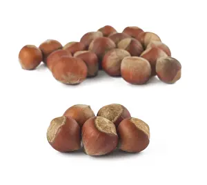 Appetizing Food Drucke: Two group of hazelnuts isolated on white background