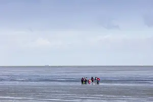 Cuxhaven Germany Drucke: Group of mudflat strollers in mudflat