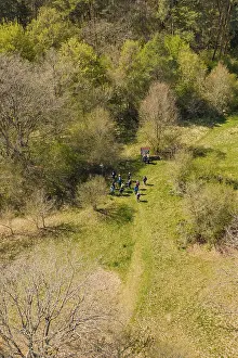 Forest Landscape Drucke: A group of people in the forest