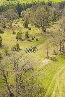 Symbolic Tree Image Drucke: Group of people standing in a clearing surrounded by trees in a spring setting