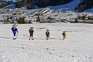 Recreational Activity Outdoors Drucke: A group of Schellenklause