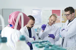 Scientific Researcher Drucke: Group of scientists working at the laboratory