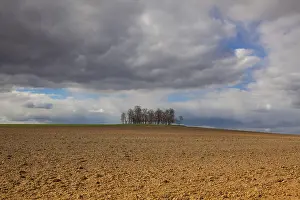 Spring Landscape Photography Drucke: Group of trees on plowed field