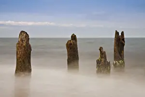 Baltic Coast Protection Drucke: Groynes on the Baltic coast