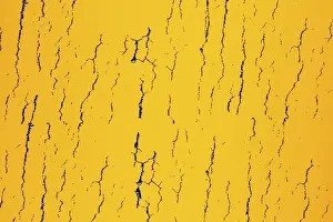 Deserted Full Frame Image Drucke: Grunge background with cracksa and texture pattern for text