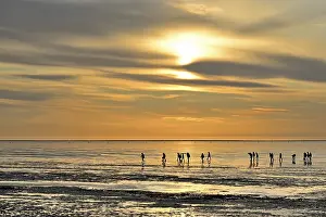 UNESCO World Natural Heritage Germany Drucke: Guided mudflat tour in the evening hours