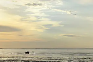 Central European Nature Reserves Drucke: Guided mudflat tour in the evening hours